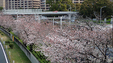 p3270008_thumb.jpg