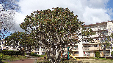 p3270015_thumb.jpg