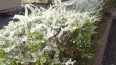 p3270016_thumb.jpg