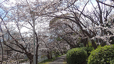 p3270019_thumb.jpg