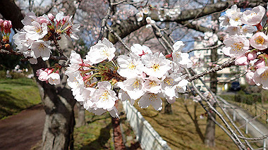 p3270022_thumb.jpg