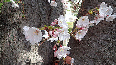 p3270023_thumb.jpg