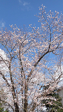 p3270025_thumb.jpg