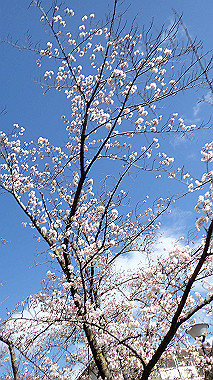 p3270026_thumb.jpg