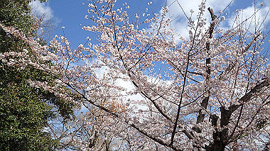 p3270029_thumb.jpg