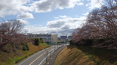 p3270032_thumb.jpg