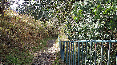 p3270033_thumb.jpg