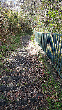 p3270034_thumb.jpg