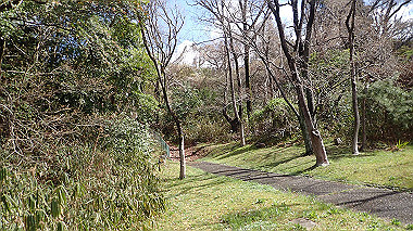 p3270037_thumb.jpg