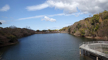 p3270040_thumb.jpg
