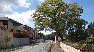 p3270042_thumb.jpg