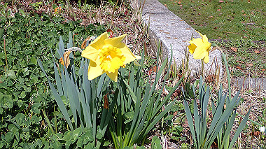 p3270045_thumb.jpg