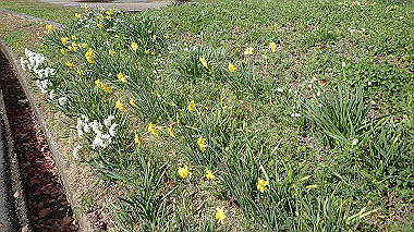 p3270046_thumb.jpg