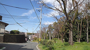 p3270048_thumb.jpg