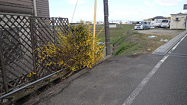 p3270053_thumb.jpg