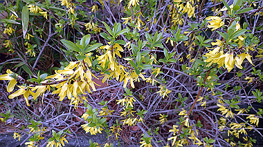 p3270054_thumb.jpg