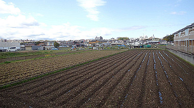 p3270056_thumb.jpg