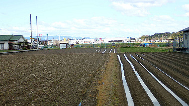 p3270061_thumb.jpg