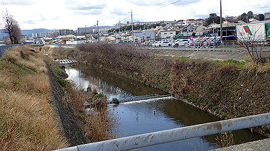 p3270066_thumb.jpg