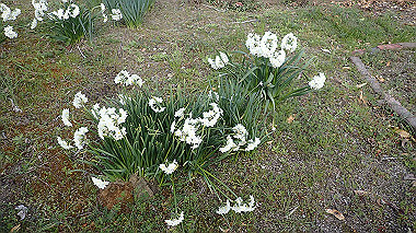 p3270072_thumb.jpg