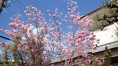 p3270073_thumb.jpg