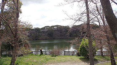 p3270078_thumb.jpg