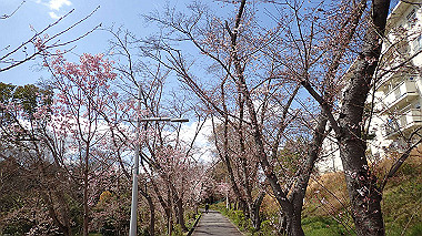 p3270079_thumb.jpg