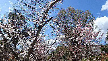 p3270083_thumb.jpg