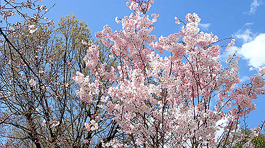 p3270084_thumb.jpg