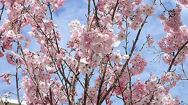 p3270085_thumb.jpg