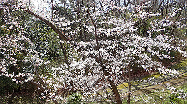 p3270086_thumb.jpg