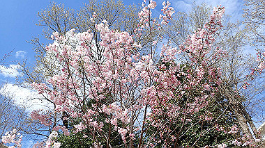 p3270087_thumb.jpg