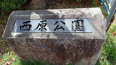 p3270090_thumb.jpg