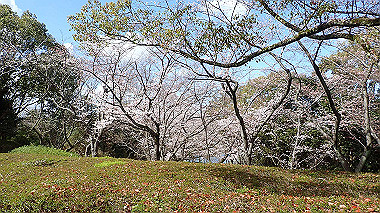 p3270092_thumb.jpg