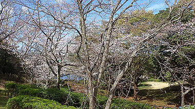 p3270093_thumb.jpg