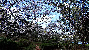 p3270094_thumb.jpg