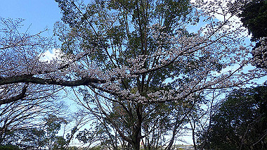 p3270095_thumb.jpg