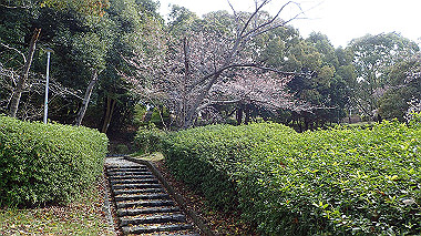 p3270096_thumb.jpg