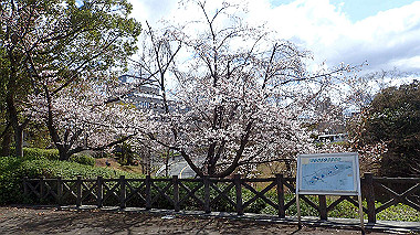 p3270099_thumb.jpg