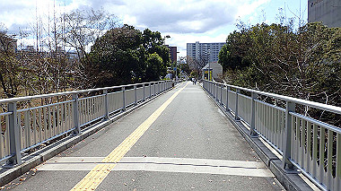 p3270101_thumb.jpg
