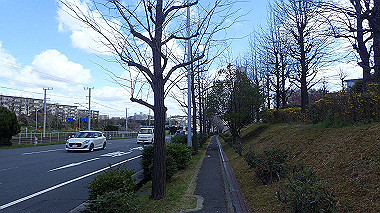 p3270115_thumb.jpg