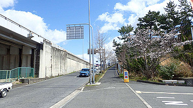 p3270124_thumb.jpg