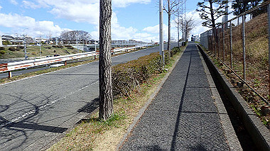 p3270125_thumb.jpg