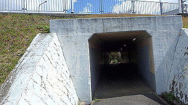 p3270134_thumb.jpg