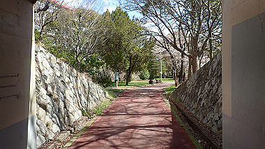 p3270136_thumb.jpg