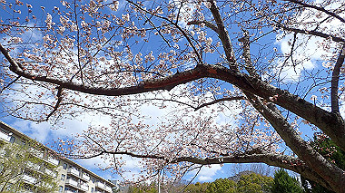 p3270138_thumb.jpg