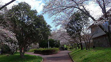 p3270140_thumb.jpg