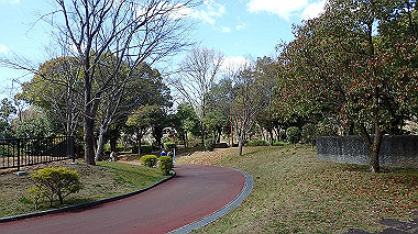 p3270154_thumb.jpg
