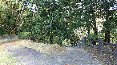 p3270155_thumb.jpg