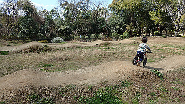p3270156_thumb.jpg